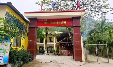 Vụ thịt lợn trong bữa ăn bán trú nhiễm tả lợn, khuẩn Ecoli: Đình chỉ hiệu trưởng trường mầm non