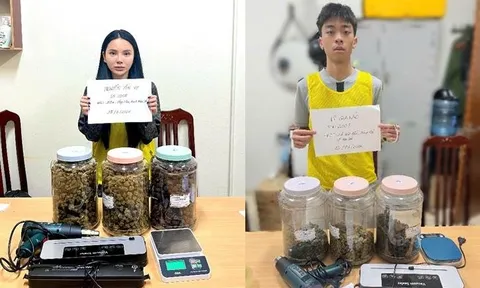 Bắt giữ Lê Gia Bảo (SN 2007) và Nguyễn Yến Vy (SN 2005)