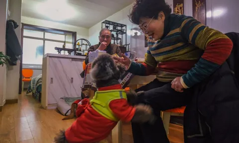 Từng chọn không sinh con để nhẹ gánh cuộc sống, đến khi về già họ bắt đầu đối diện những khoảng trống khó gọi tên