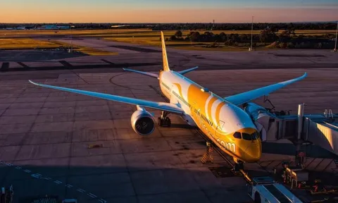 Nữ hành khách phải cầu cứu vì bị quấy rối ngay trên ghế máy bay