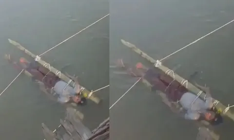 Bị rắn độc cắn, bé trai 13 tuổi ra đi sau 12 giờ chỉ vì niềm tin sai lầm của gia đình