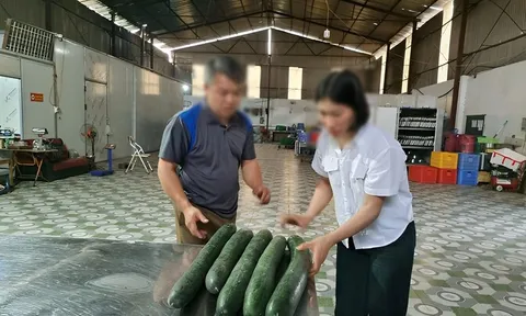 Vụ tuồn thịt lợn bệnh vào trường mầm non ở Thái Nguyên: hé lộ khoản 'hoa hồng' cho hiệu trưởng