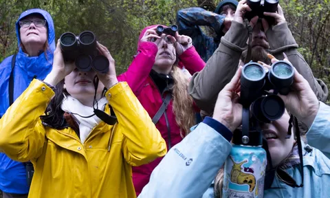 Mang ống nhòm vào rừng thay vì cầm điện thoại, giới trẻ Mỹ đang “chữa lành” theo cách rất khác