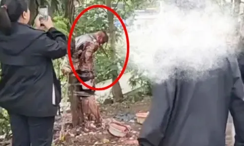 Phẫn nộ với hình ảnh chú rể bị lột đồ, dội nước tương, ném trứng rồi trói vào cây ngay trong ngày cưới