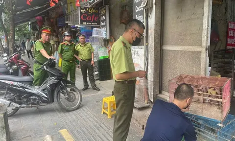 Hà Nội: Kiểm tra cơ sở kinh doanh, công an phường Bạch Mai phát hiện, thu giữ hàng trăm cá thể chim cảnh không rõ xuất xứ