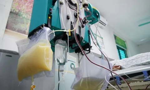 Uống món đồ uống “quốc dân” suốt nhiều tháng, cô gái nhập viện với máu trắng đục như sữa, kết quả xét nghiệm khiến ai cũng giật mình