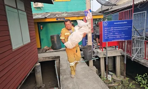 Sau “lời vẫy gọi” bí ẩn, người đàn ông tái mặt khi phát hiện thứ đáng sợ này trong căn nhà bỏ hoang