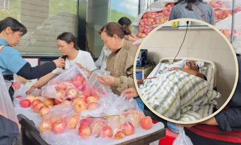 Đang bán 4 tấn táo kiếm tiền nuôi con, người đàn ông bất ngờ đột quỵ và điều xảy ra sau đó khiến nhiều người bật khóc