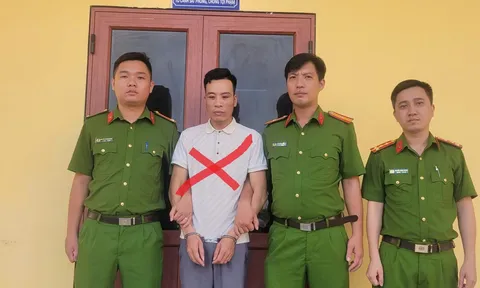 Bắt giữ Nguyễn Thế Anh