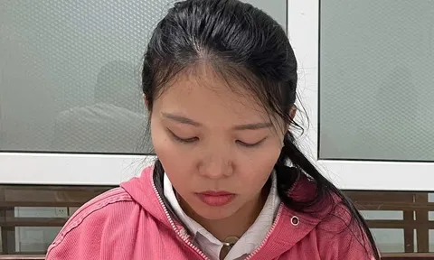 Khởi tố, bắt tạm giam “nữ quái” Phan Thị Tâm lừa đảo chiếm đoạt hàng tỷ đồng