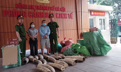 Bắt vợ chồng Phạm Tiến Chang và Ngô Thị Nhậm