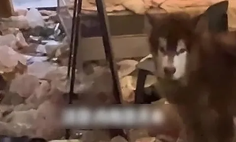 Mở cửa kiểm tra căn hộ vì khách thuê xinh đẹp nợ tiền nhà, người đàn ông chết lặng khi thấy cảnh tượng bên trong