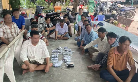 Bắt 15 "con bạc" đang say sưa đá gà qua mạng