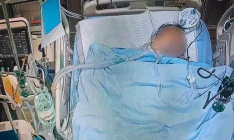 Mải bồi bổ thịt cá vào mùa hè, nhiều người quên mất khoáng chất quan trọng này: Bác sĩ cảnh báo hậu quả khó lường