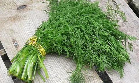 Loại rau thơm phức bán đầy chợ Việt được ví như "dược liệu tự nhiên", vừa hỗ trợ giảm đau bụng kinh vừa giúp cải thiện tâm trạng