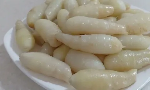 Ít ai ngờ loại củ làm nên món miến quen thuộc của người Việt lại được ví như "nhân sâm bình dân" nhờ loạt công dụng đáng chú ý này