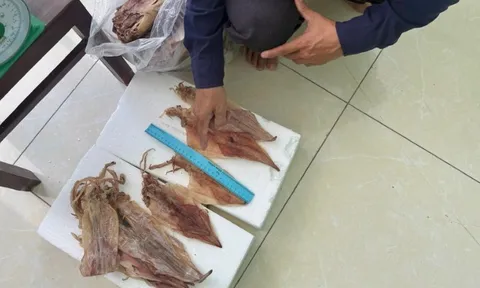 Trộm mực khô rồi giấu trong quần, Nguyễn Văn Tuấn bị bắt