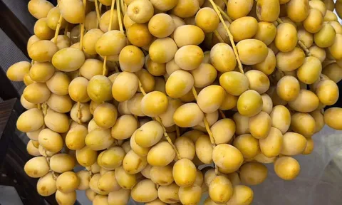 Loại quả từng là đặc sản cao cấp, giá rẻ, bán đầy ngoài chợ vì vị ngọt thơm và giàu dinh dưỡng, nhưng vẫn có nhóm người được khuyến cáo không nên ăn