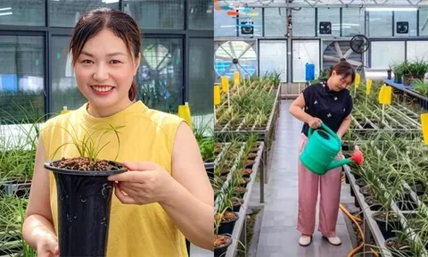 Từ vài khóm lan bị xem là "cỏ dại", người phụ nữ đầu tư hơn 3,8 tỷ đồng xây dựng mô hình giúp nuôi sống cả ngôi làng