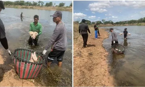 Ra hồ kiểm tra bẫy cá như mọi ngày, người đàn ông bàng hoàng thấy hơn 100 "vật thể lạ" nổi kín mặt nước