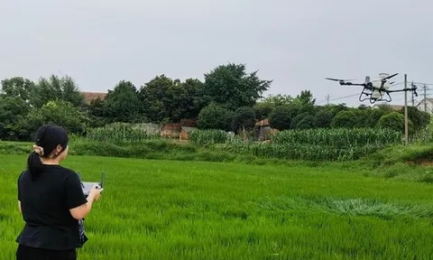 Bỏ phố về quê nối nghiệp cha, cô gái 9X dùng drone làm nông, biến khoảng sân nhỏ thành "đại bản doanh" phục vụ hơn 300 hộ dân