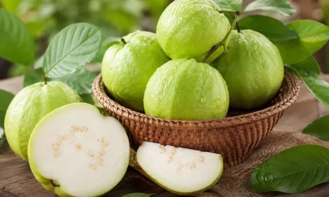 Không phải chanh hay cam, loại quả bình dân này mới là “kho vitamin C” nhiều người Việt đang bỏ qua