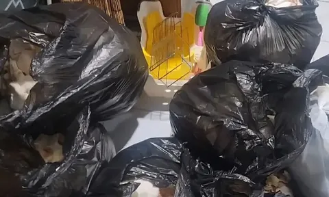 "Làm ơn cho em đi gặp bác sĩ": Suốt nhiều tháng chỉ biết ngồi lì một chỗ, người vợ liên tục cầu xin chồng đưa đi bệnh viện nhưng cái kết khiến ai cũng ám ảnh