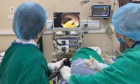 Thích ăn phở bò tái suốt nhiều năm, người đàn ông đi khám rồi bàng hoàng khi bác sĩ gắp ra con sán dài 1,2 mét