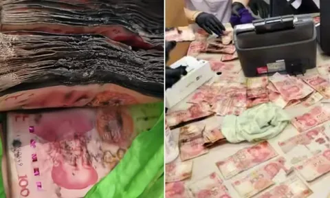 Cất gần 400 triệu đồng ngoài ban công, người đàn ông đi công tác về thì "tái mặt" khi chứng kiến cảnh không ngờ
