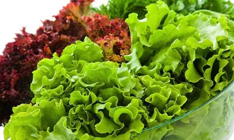 Loại rau quen thuộc thường xuất hiện trong mâm cơm Việt, tốt cho sức khỏe nhưng không phải ai cũng nên ăn