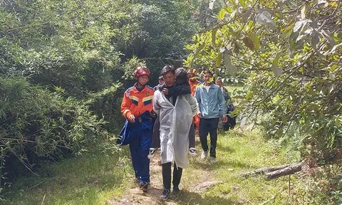 Bé gái 9 tuổi theo người thân vào rừng hái nấm rồi mất tích giữa đêm mưa, khoảnh khắc được tìm thấy sau gần 20 giờ khiến nhiều người thở phào