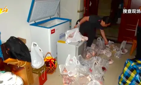 Đột kích biệt thự cựu quan chức, cảnh sát bàng hoàng khi phát hiện những bọc thịt gà, vịt, cá đều cất giấu vàng thỏi, trang sức đắt tiền