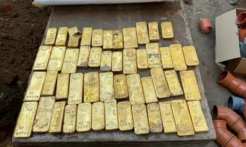 Nhóm công nhân bất ngờ đào trúng kho vàng trị giá 280 tỷ đồng