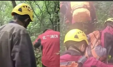 Cụ ông 93 tuổi đi hái thuốc rồi mất tích, cái kết sau nhiều giờ mắc kẹt dưới vách núi khiến nhiều người thở phào