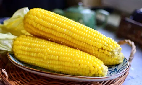 Phần bổ dưỡng của bắp ngô,mà nhiều người không biết lại bỏ đi: Những tác dụng tiềm năng và điều cần lưu ý trước khi dùng
