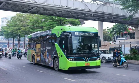 Chi tiết các bước đăng ký thẻ xe buýt miễn phí tại TP.HCM được hướng dẫn trên dangkyvemien.buyttphcm.com.vn