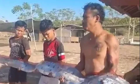 Bất ngờ phát hiện "quái vật biển sâu" dài hơn 4m trên bãi biển nổi tiếng: Loài sinh vật gắn liền với lời đồn động đất và sóng thần khiến du khách vừa tò mò vừa lo lắng