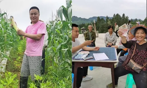 Bỏ việc lương hơn 66 triệu đồng/tháng về quê, người đàn ông nói điều vui nhất là phát lương cho bà con, mỗi ngày chi gần 200 triệu đồng tiền công