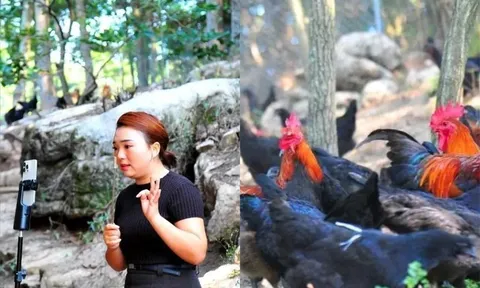 Cô gái 9X bỏ phố về quê khởi nghiệp với mô hình “gà tập gym”, tạo sinh kế cho hàng trăm người