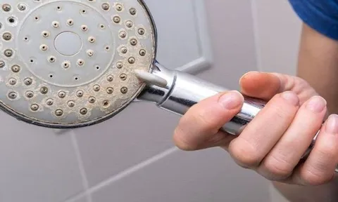 Uống nhiều loại thuốc nhưng người phụ nữ vẫn ho dai dẳng suốt 3 năm, bác sĩ tìm thấy "manh mối" trong phòng tắm