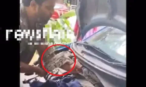 Vừa mở nắp ca-pô ô tô, chủ xe "đứng hình" thấy sinh vật này bên trong