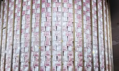 Con mèo đi lạc hé lộ căn hầm bí mật chứa 1,15 tấn tiền mặt, sâu 33m ngay gần khu dân cư