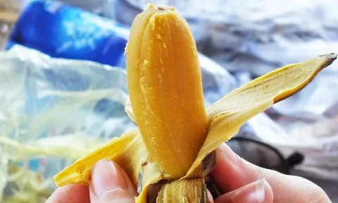 Loại chuối “lạ” ở Việt Nam: Không ngon như chuối thường khi ăn trực tiếp, luộc lên lại ngọt thơm như mật ong, được chế biến thành nhiều món ăn hấp dẫn