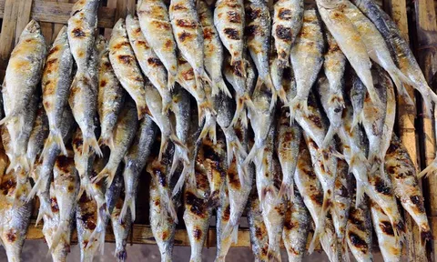 Đi chợ gặp 2 loại cá này, đừng vội xem là món ăn “nhà nghèo”: Giá trị dinh dưỡng cao, tốt cho xương khớp mà nhiều người bỏ qua