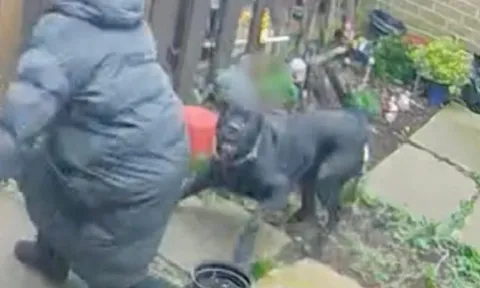 Người đàn ông bất ngờ bị chó dữ nhà hàng xóm cắn vào cổ, phải sống trong sợ hãi, không dám về nhà