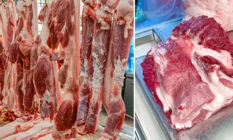 Thịt lợn xuất hiện dấu hiệu lạ, rẻ đến đâu cũng đừng mang về nhà