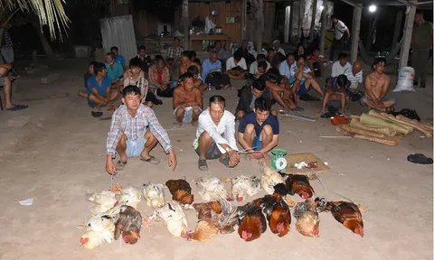 Hé lộ người đứng sau tụ điểm đá gà quy tụ 35 người vừa bị triệt phá