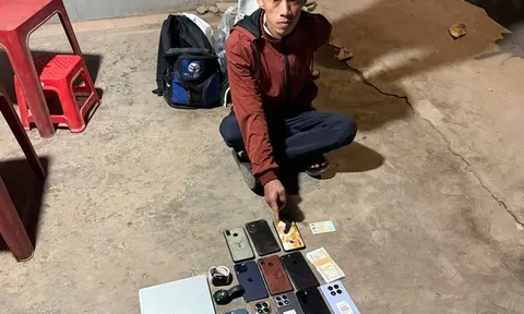 Bắt "siêu trộm" Huỳnh Vũ Linh