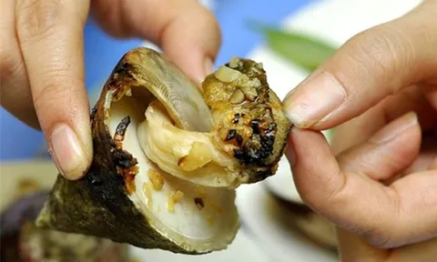 Tên gọi khiến nhiều người "đỏ mặt", đặc sản biển này lại có giá tới 500.000 đồng/kg, ai ăn thử cũng bất ngờ vì hương vị