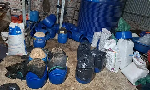 Cận cảnh "xưởng" sản xuất hơn 500 tấn giá đỗ bằng hóa chất độc hại của Chu Thị Hòa: Những gì diễn ra bên trong khiến nhiều người rùng mình